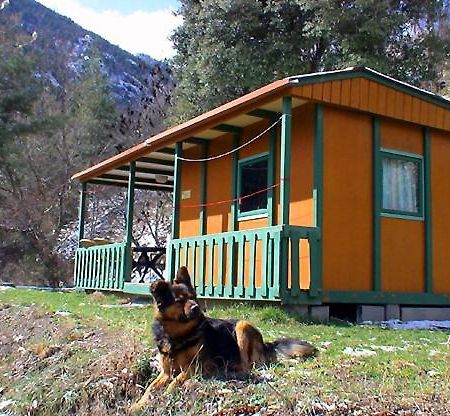 Chalet-Bungalow Ombrage Escaro Esterno foto