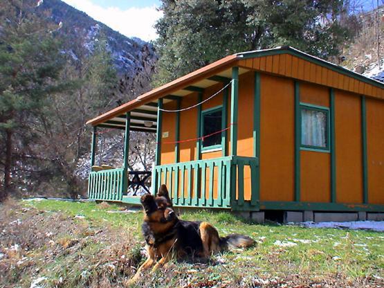 Chalet-Bungalow Ombrage Escaro Esterno foto