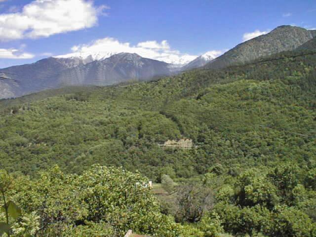 Chalet-Bungalow Ombrage Escaro Esterno foto